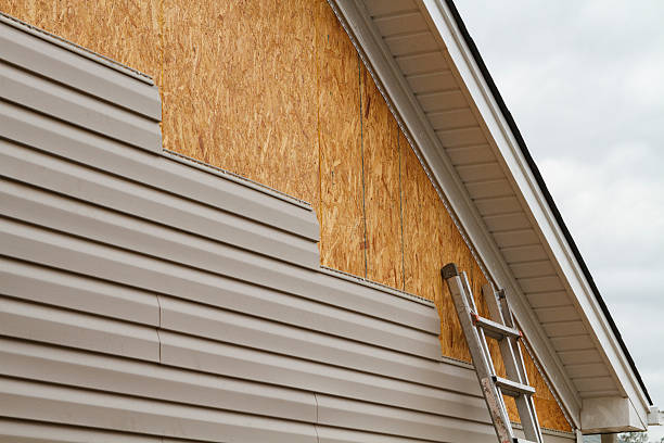 Professional Storm Damage Siding Repair technician working in Jackson, TN